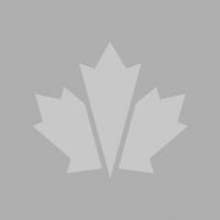 TWINS System Соединитель шаблонов СТАНДАРТ